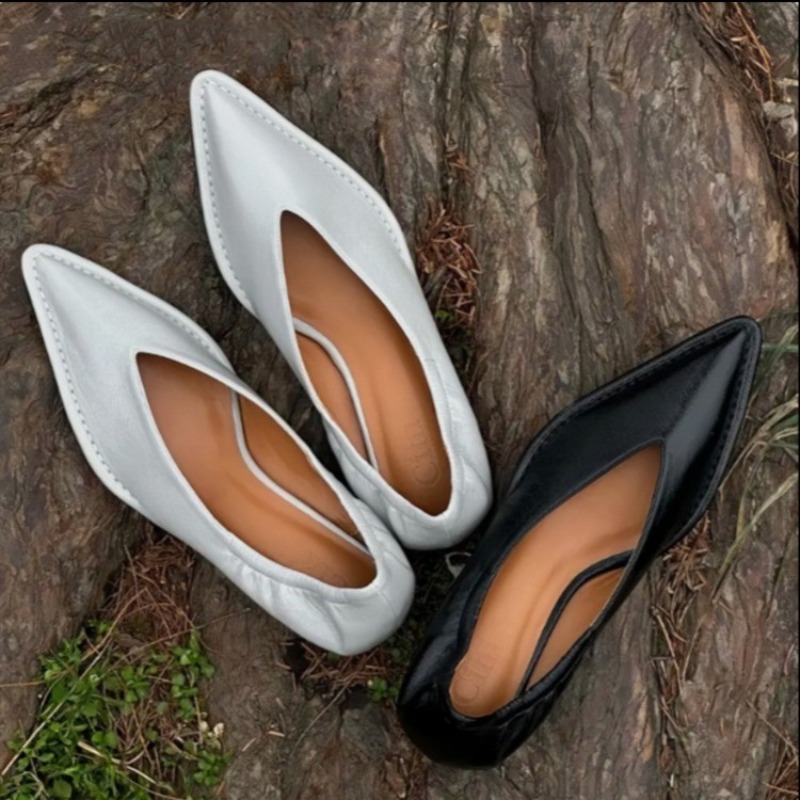 Women'S Shoes Everyday - 2025 New Pointed Toe Single Shoes